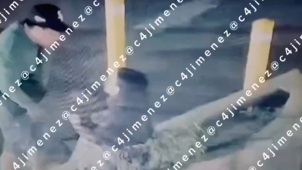 Omar, presunto policía federal, detenido tras agredir a su novia en Tampa Bay