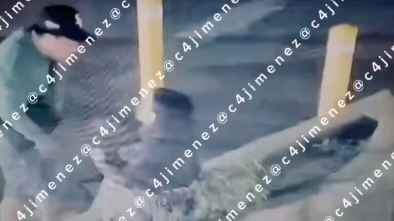 Omar, presunto policía federal, detenido tras agredir a su novia en Tampa Bay