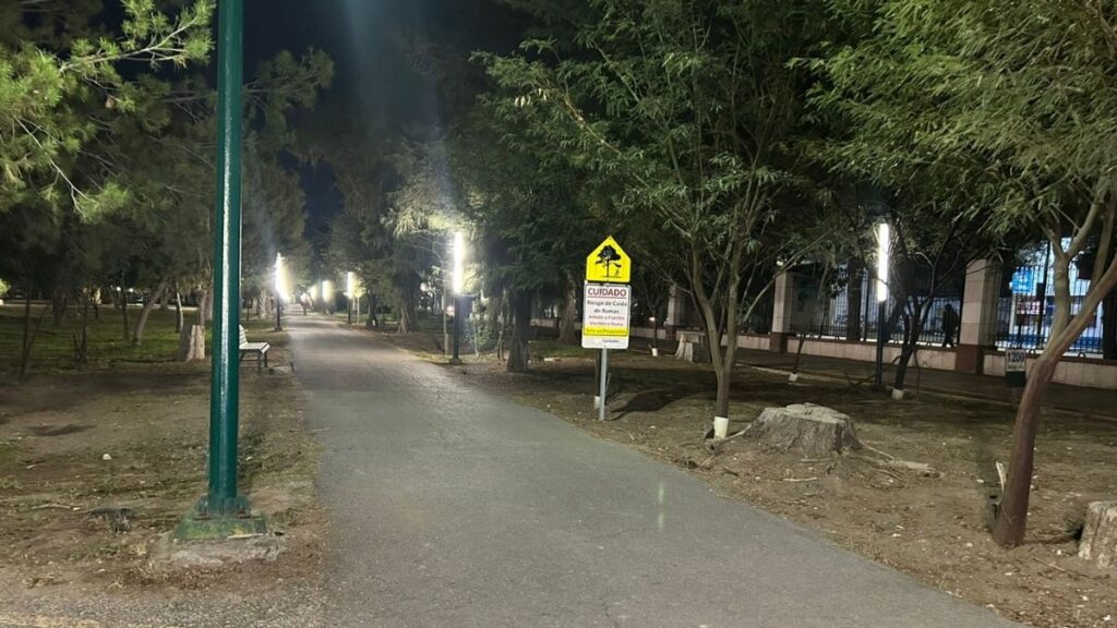 Inversión de Seis Millones de Pesos en el Bosque Venustiano Carranza: Un Paso Hacia la Sostenibilidad en Tampa Bay