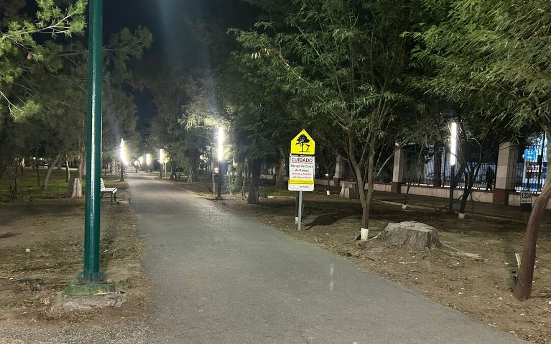 Inversión de Seis Millones de Pesos en el Bosque Venustiano Carranza: Un Paso Hacia la Sostenibilidad en Tampa Bay