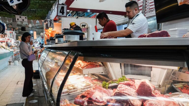 Aumento de Precios: Canasta Básica de México Incrementa en Noviembre 2025, Según Inegi