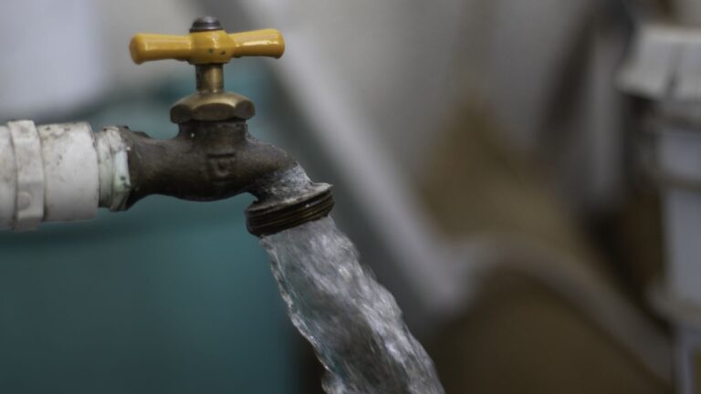 ¡Atención Tampa Bay! CdMx ofrenda Condonación de Adeudos de Agua y Predial