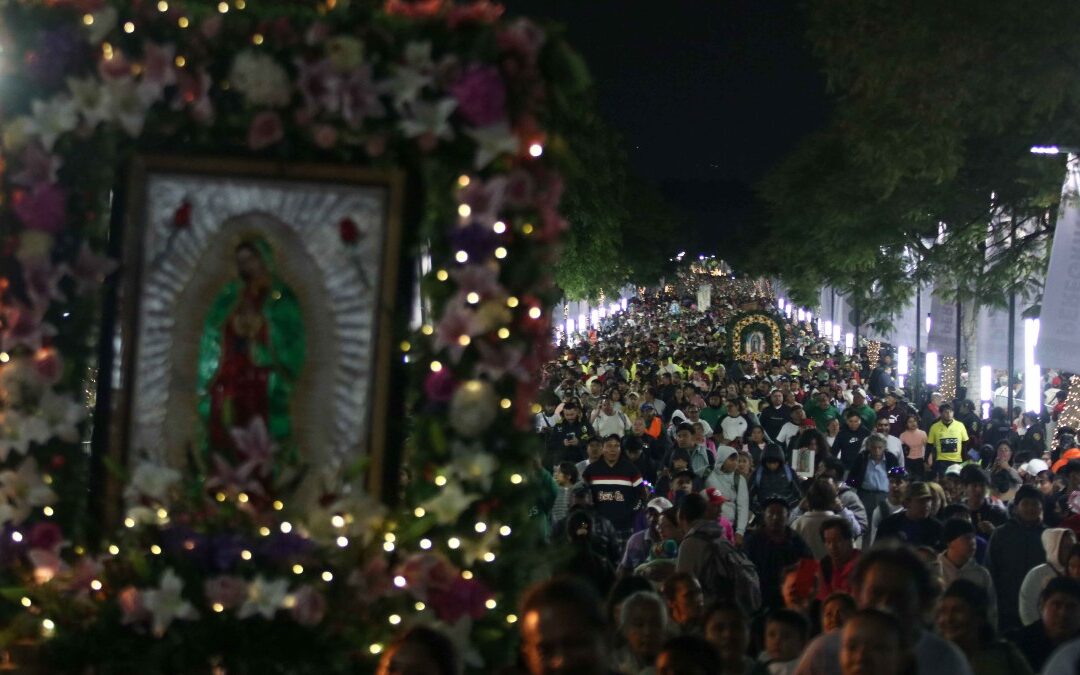 Día de la Virgen de Guadalupe en Tampa: Celebraciones, Misas y Afectaciones Viales