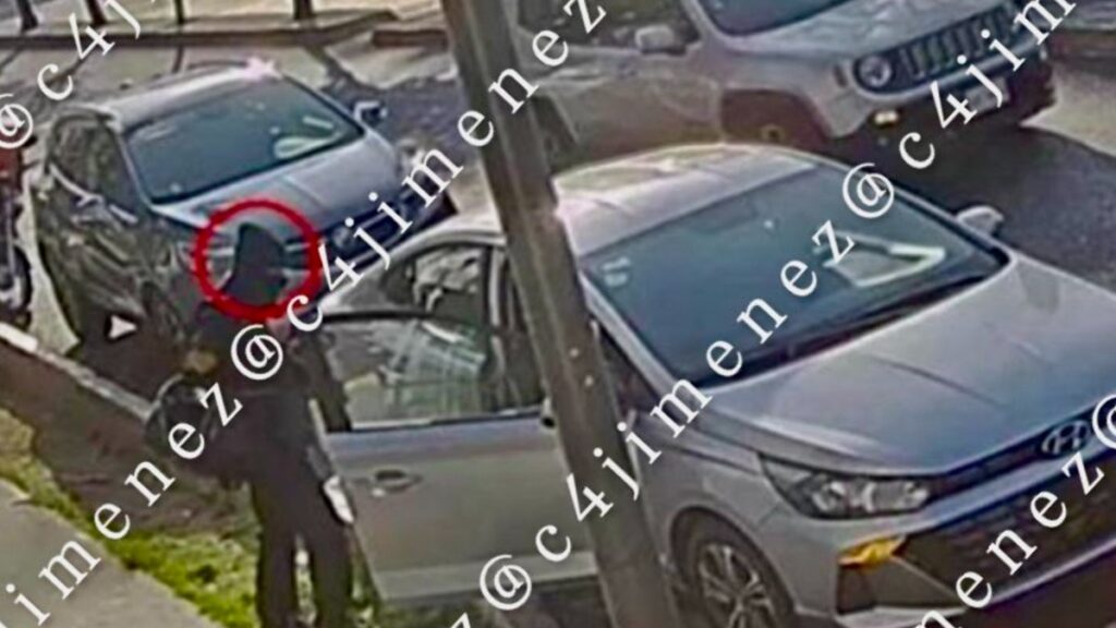 Las 5 Noticias Más Importantes de C4 En Alerta para Tampa Bay – 11 de Diciembre de 2025