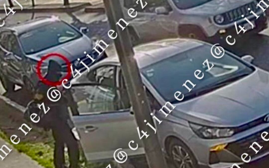 Las 5 Noticias Más Importantes de C4 En Alerta para Tampa Bay – 11 de Diciembre de 2025