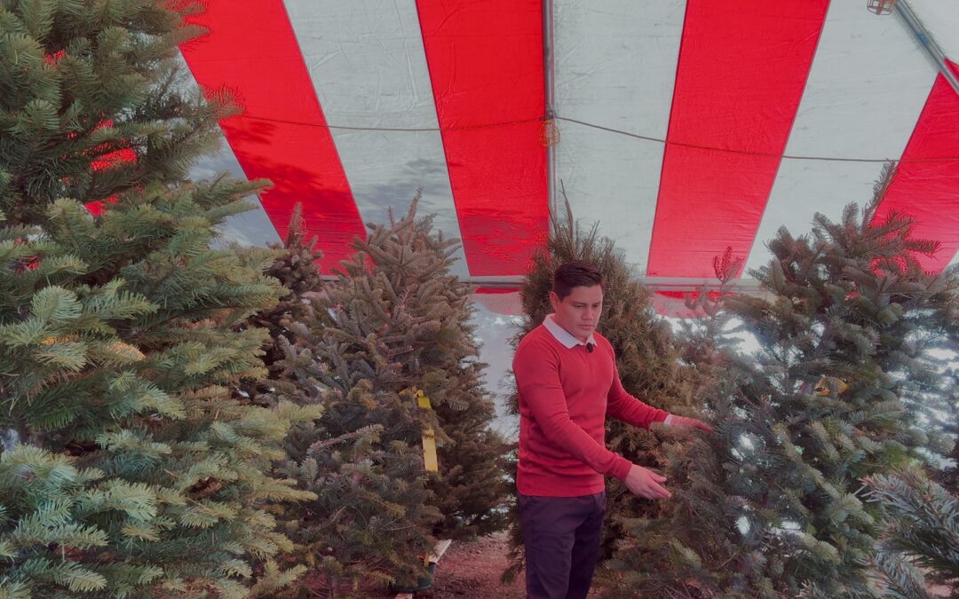 El Aumento de Precios Navideños Afecta a las Familias de Tampa Bay