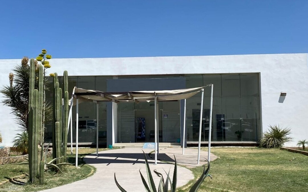 Olor a putrefacción en Villa Nazareno de Lerdo desata alarma: ¿qué ocurrió?