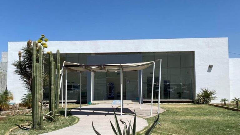 Olor a putrefacción en Villa Nazareno de Lerdo desata alarma: ¿qué ocurrió?