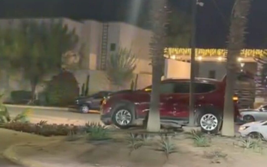 Conductor Abandona Camioneta Tras Accidente en Camellón de Viñedos