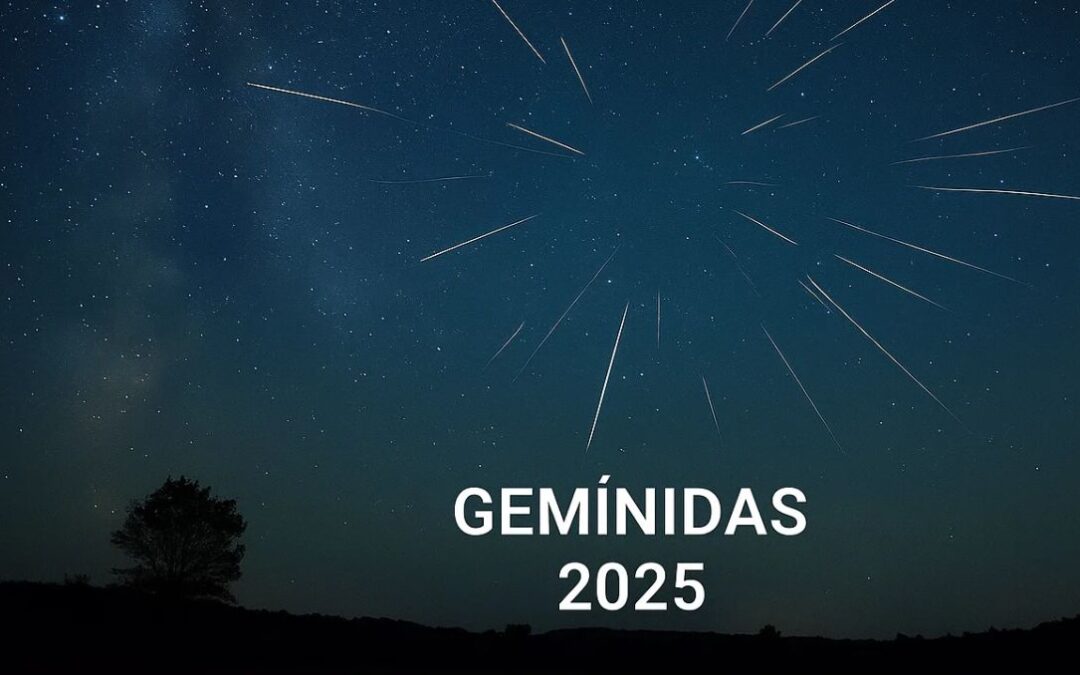 Descubre la Lluvia de Estrellas Gemínidas: Horario y Mejor Vista en Tampa, 14 de Diciembre