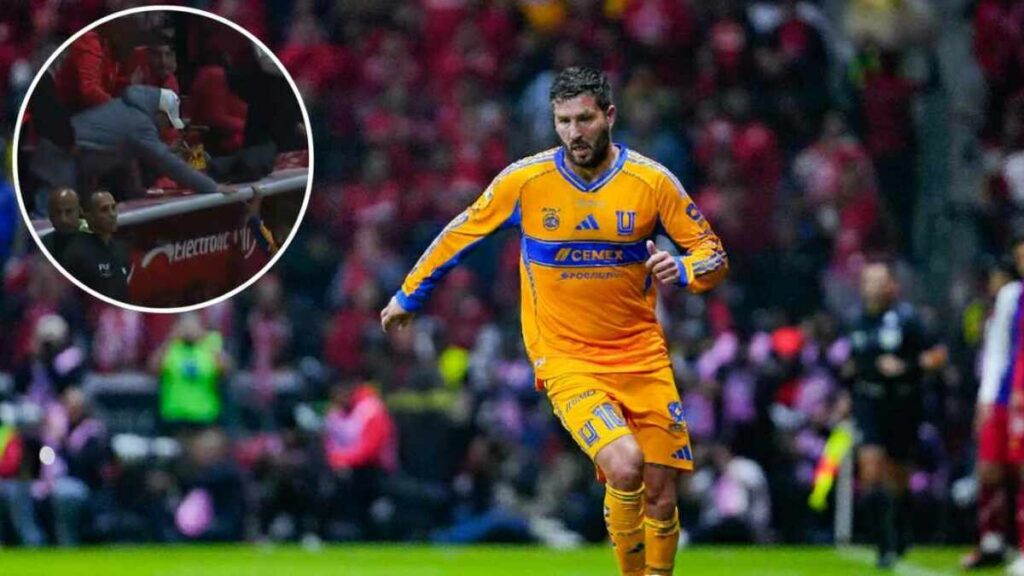 Gignac Sufre Agresión de un Aficionado Durante un Partido en Tampa Bay | VIDEO