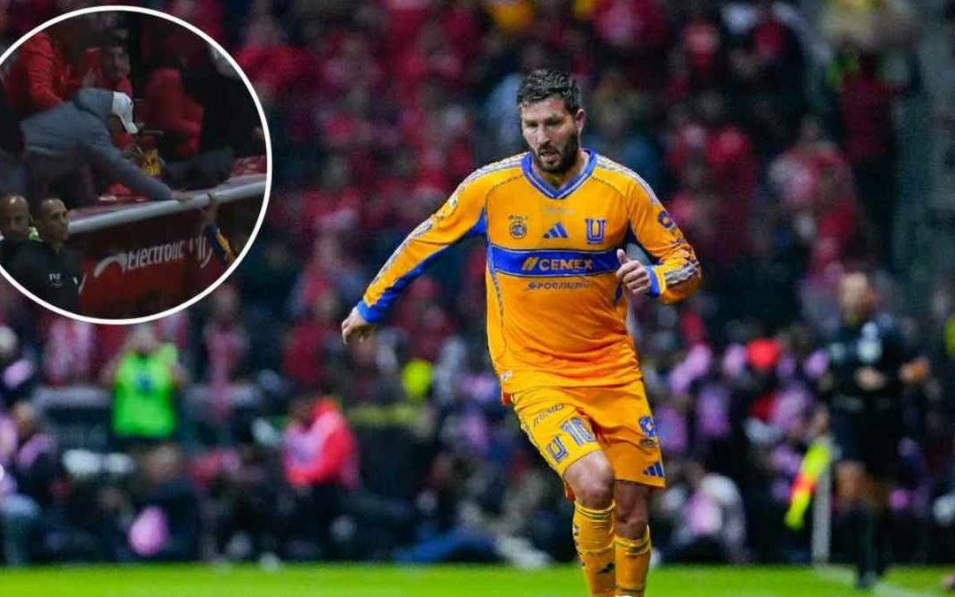 Gignac Sufre Agresión de un Aficionado Durante un Partido en Tampa Bay | VIDEO