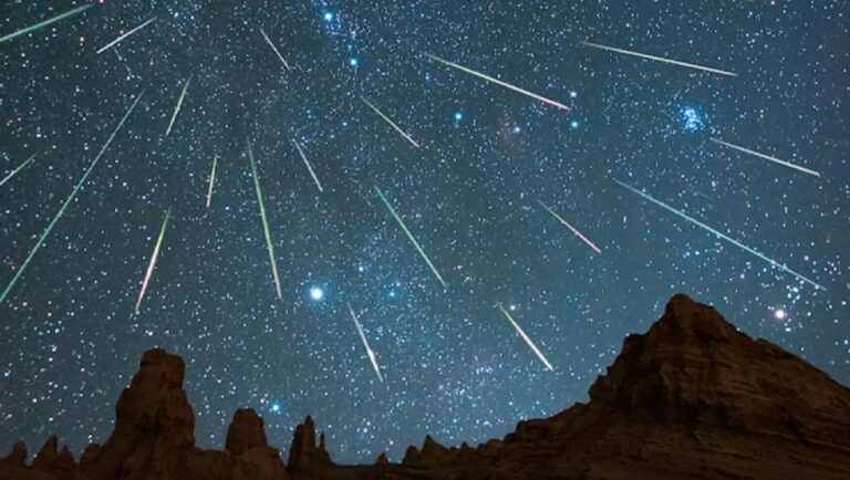 Lluvia de Estrellas Úrsidas: Descubre Cuándo y Dónde Ver Este Espectacular Fenómeno Astronómico en Tampa Bay
