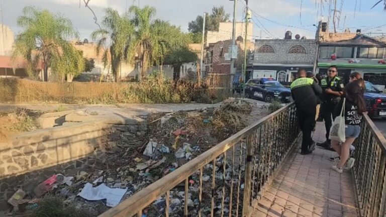 Madres Buscadoras Localizan Cráneo Humano y Restos en Tonalá
