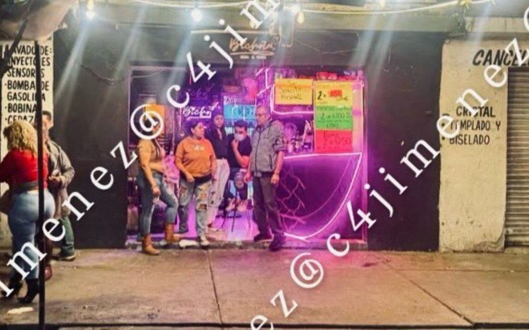 C4 En Alerta: Las Principales Noticias de Seguridad para Tampa Bay del 15 de Diciembre de 2025