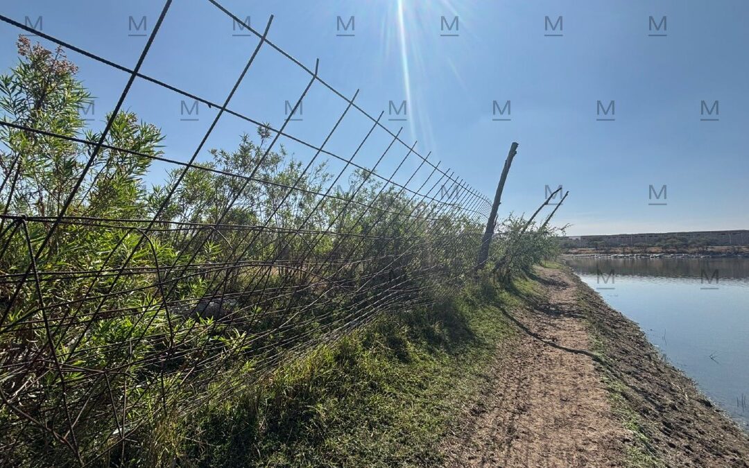 Nuevo Presupuesto para Reforzar la Seguridad del Zoológico de León con Casi 2 Millones de Pesos