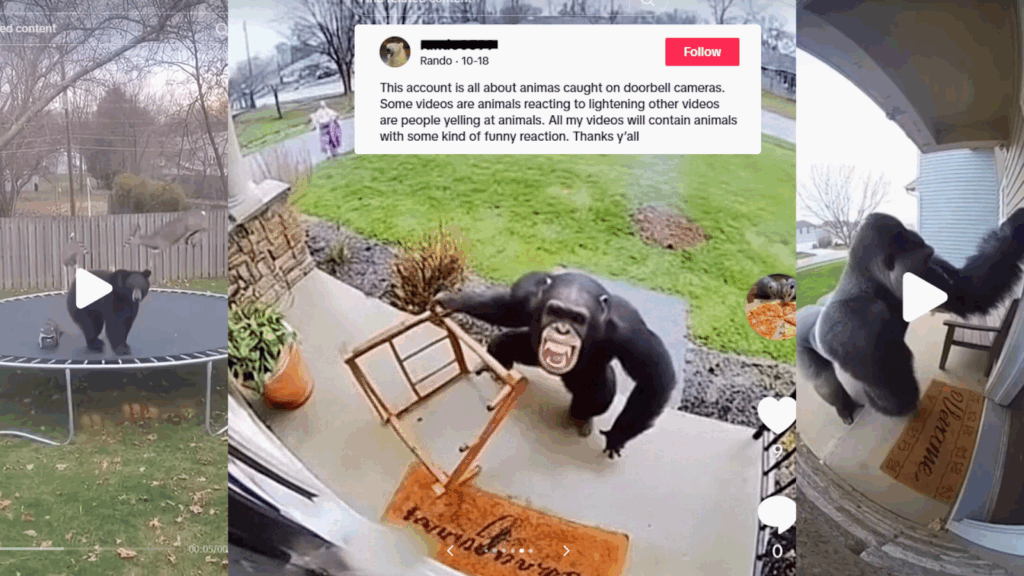 Zoológico del Condado de Sedgwick advierte sobre los riesgos del contenido de inteligencia artificial en redes sociales