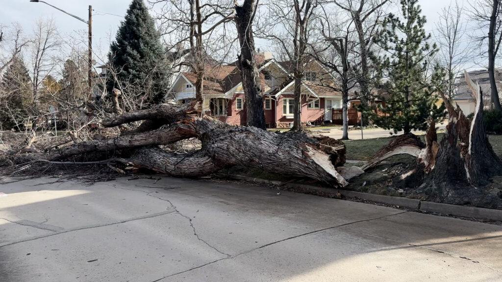 Vientos Fuertes en Colorado: Precauciones Urgentes ante Cortes de Electricidad