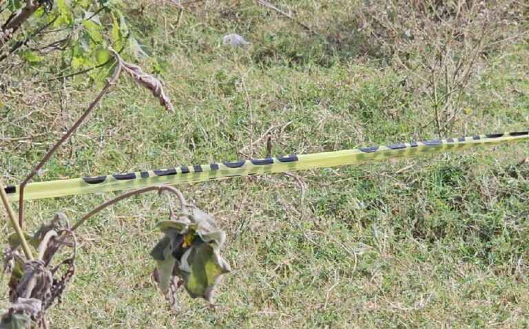 Restos humanos hallados en fosa clandestina de Tlajomulco: un nuevo descubrimiento impactante
