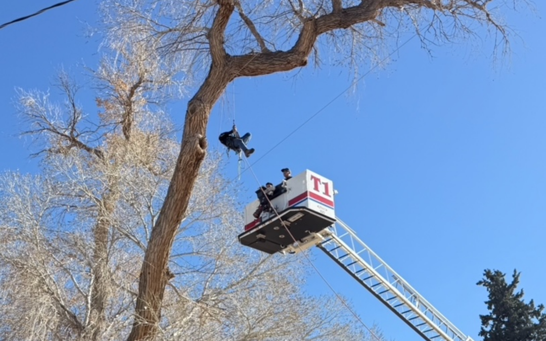 Rescate de Bomberos en Las Cruces: Trabajador Atrapado en un Árbol