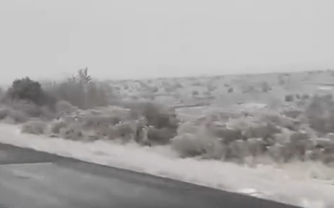 Retrasos Escolares y Cierres por Nieve en Nuevo México