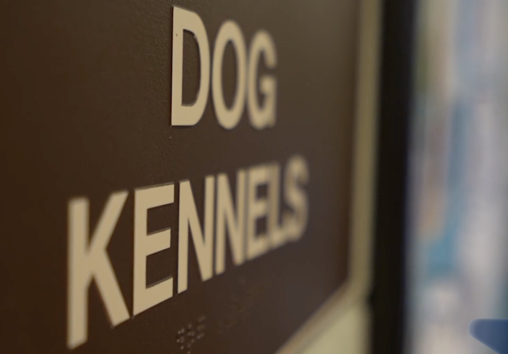 Palm Desert Avanza en la Protección Animal con un Programa de Esterilización Gratuita