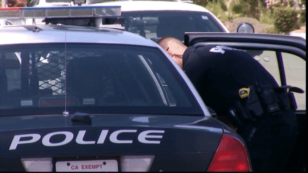 Arrestos en Thermal: Dos Residentes de Temecula Implicados en el Robo de un Caballo Valorado en $80,000