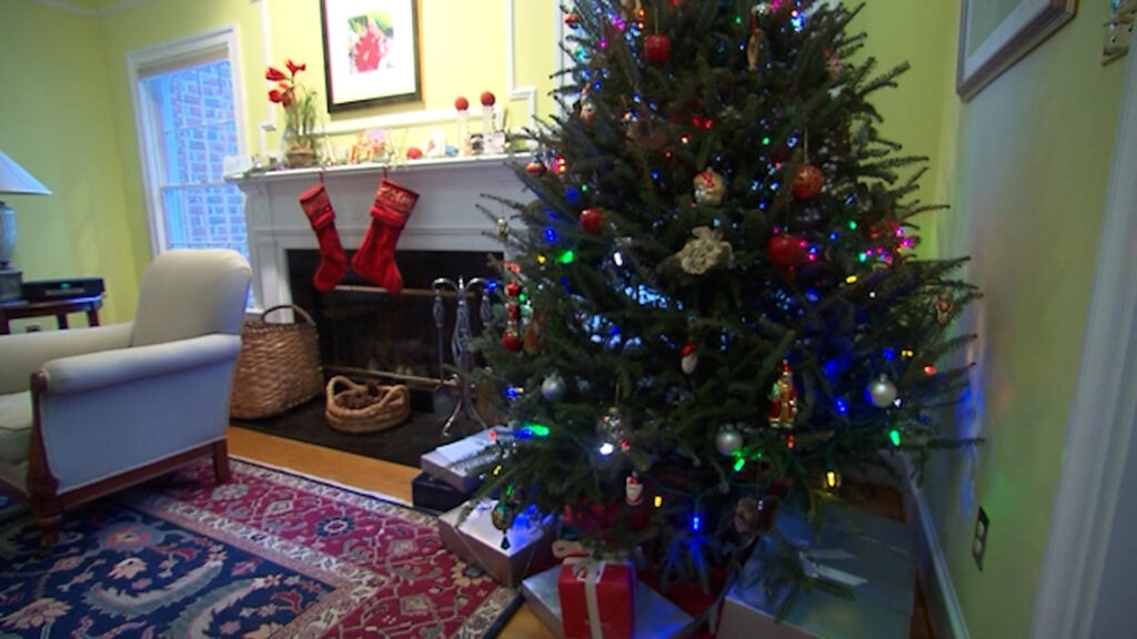 Medidas de Seguridad en el Hogar: Consejos para Mantener a Tu Familia Segura