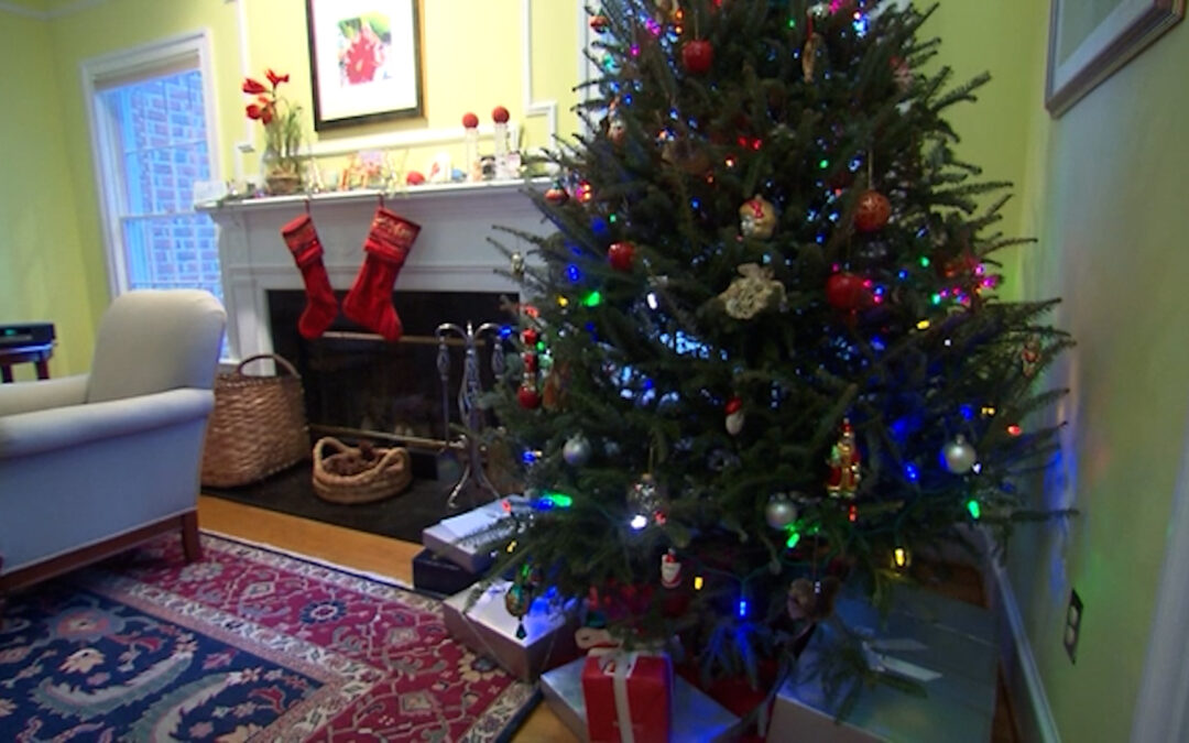 Medidas de Seguridad en el Hogar: Consejos para Mantener a Tu Familia Segura