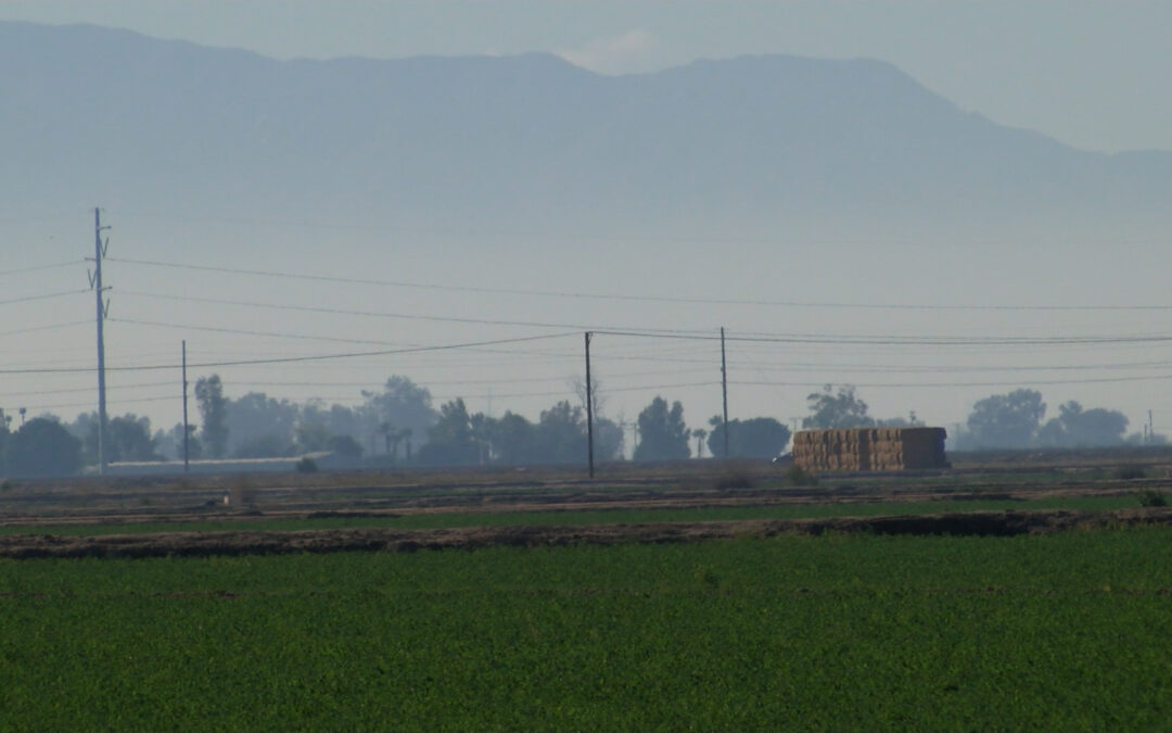 Recomendaciones para Reducir la Contaminación por Fogatas en las Fiestas de Fin de Año