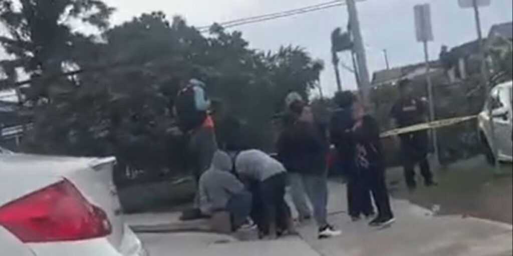 Muerte por caída de árbol en City Heights: Un hombre falleció en el incidente