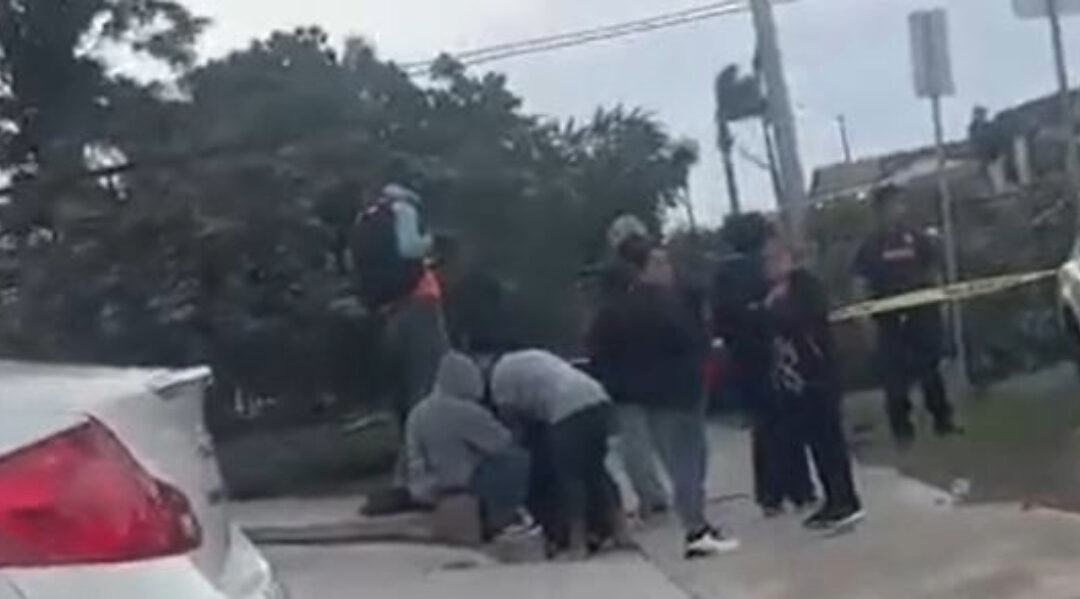 Muerte por caída de árbol en City Heights: Un hombre falleció en el incidente