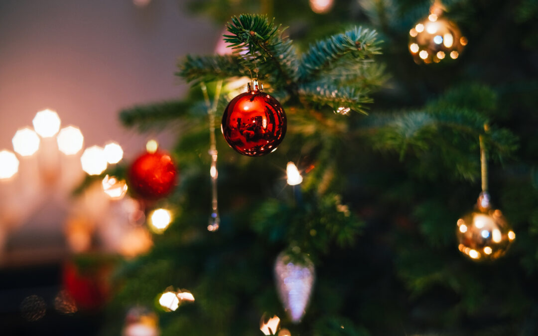 Reciclaje de Árboles de Navidad: Cómo Participar en TreeCycle Denver