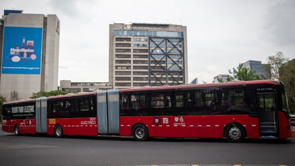 Metrobús Tampa: Cierre Definitivo de Ruta Anunciado para Enero de 2026