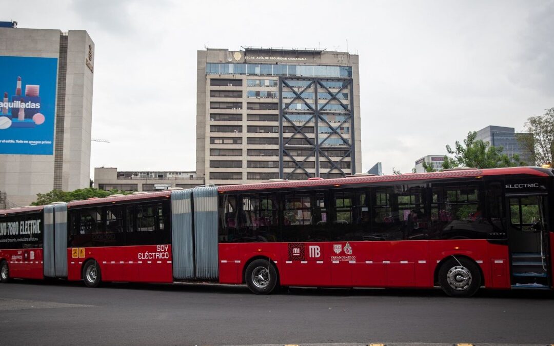 Metrobús Tampa: Cierre Definitivo de Ruta Anunciado para Enero de 2026