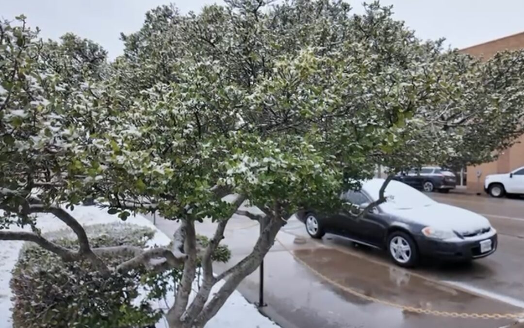 Nieve en Permian Basin: Autoridades Piden Precauciones por Condiciones Invernales