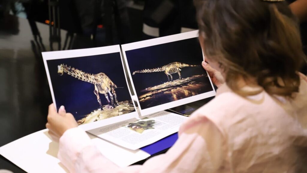 Fósil ‘Einstein’ fue prestado, no donado, confirma San Pedro Garza García