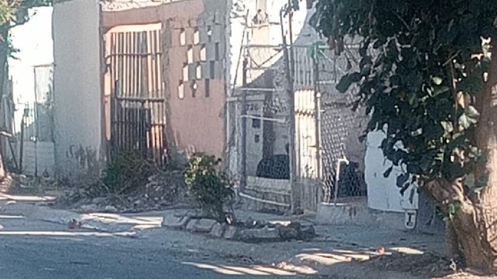 Alertan sobre peligros en Quintas los Nogales de Torreón: perros agresivos y abandono de espacios públicos