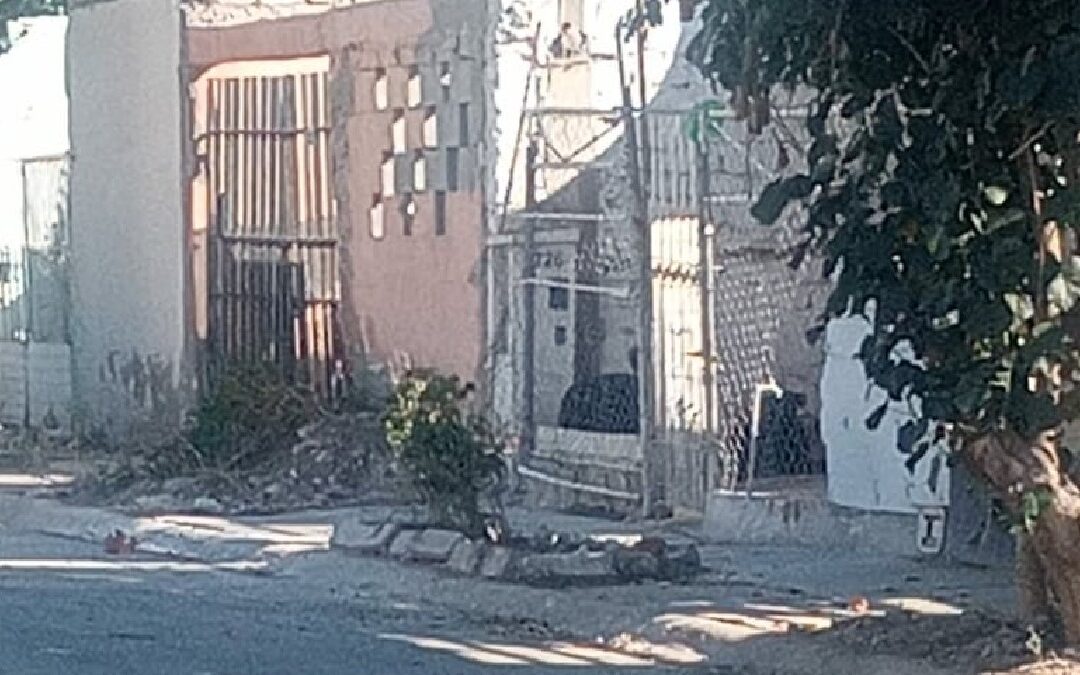 Alertan sobre peligros en Quintas los Nogales de Torreón: perros agresivos y abandono de espacios públicos