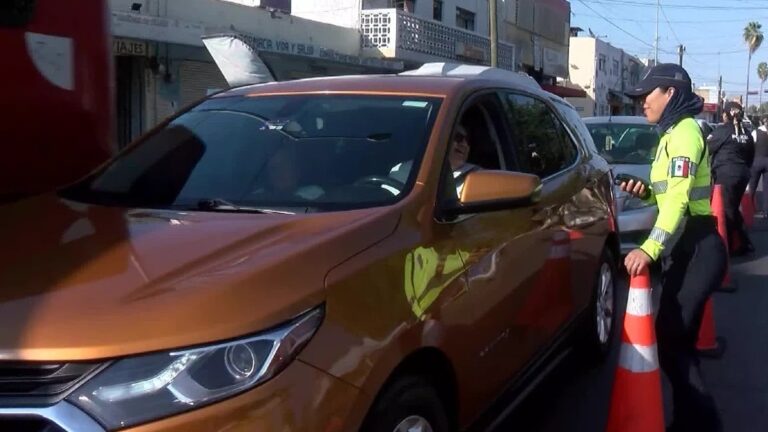 Menú Especial para Conductores Detenidos en el CURVA de Guadalajara Durante Año Nuevo 2026