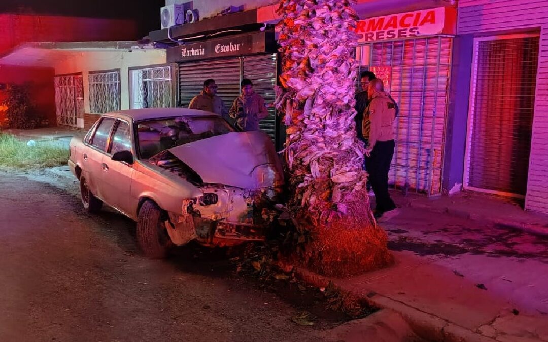 Accidente Automovilístico en Torreón: Menores de Edad Colisionan con Palma y Resultan Heridos