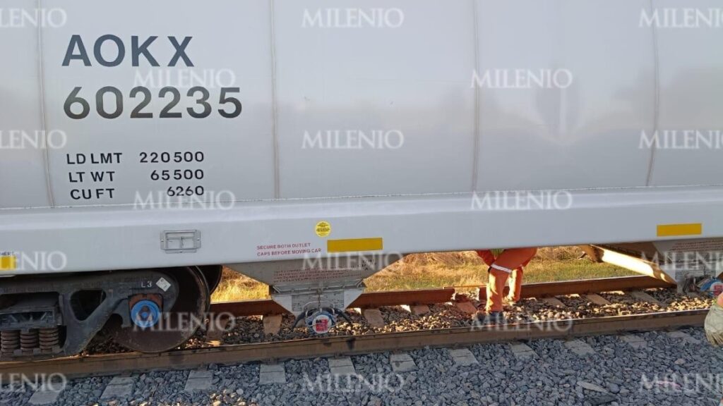 Cártel Santa Rosa de Lima Sabotea un Tren en Cortazar para Realizar un Robo