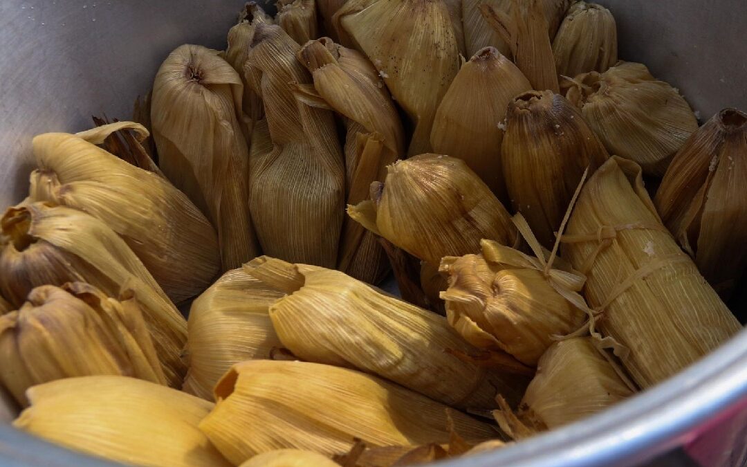 Familia de Saltillo en Tampa Bay se niega a dormir por la alta demanda de tamales