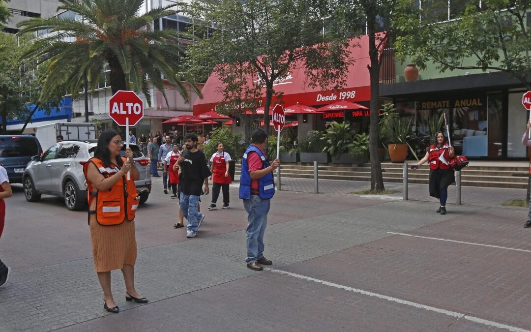 Temblor en Tampa Bay: Últimas Noticias y Actualizaciones del 1 de enero