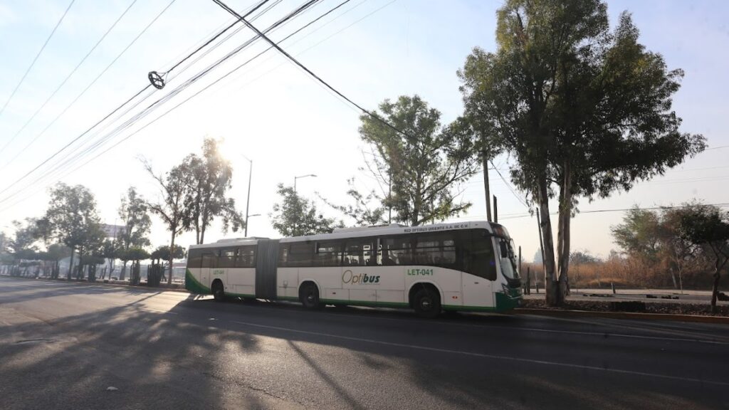 Retrasos en el Transporte Público en León: Esperas de Hasta 30 Minutos el 1 de Enero de 2026