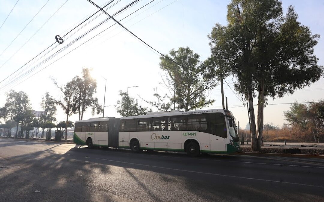 Retrasos en el Transporte Público en León: Esperas de Hasta 30 Minutos el 1 de Enero de 2026