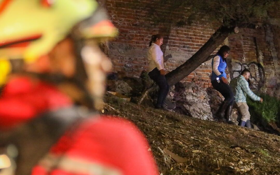 Incendios en Viviendas en León: Festejos de Fin de Año Causan 17 Incidentes