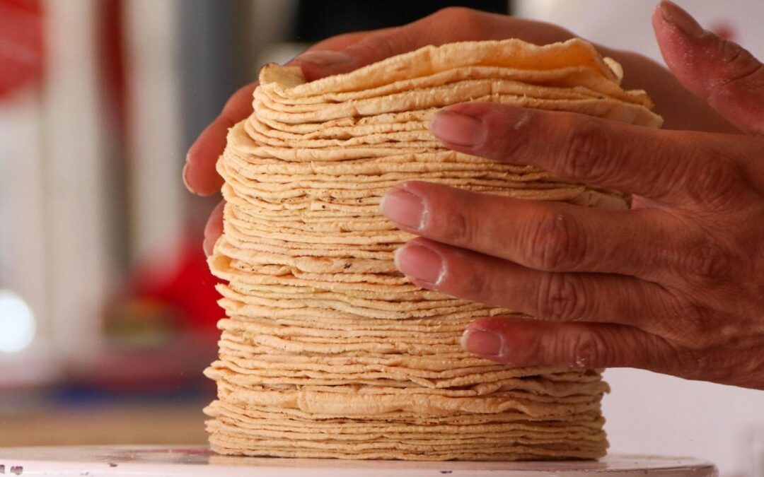 Precios de la Tortilla y Gasolina en Puebla: Lo que Debes Saber en 2026