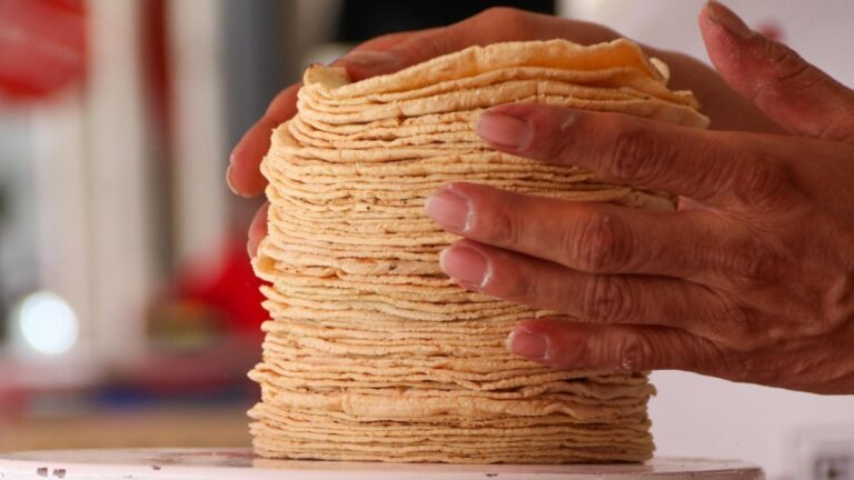 Precios de la Tortilla y Gasolina en Puebla: Lo que Debes Saber en 2026