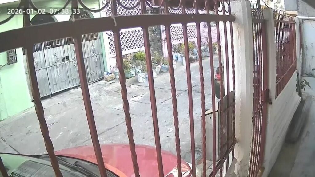 Sismo en San Marcos: Impacto y Reacciones en Guerrero y la Ciudad de México | VIDEO